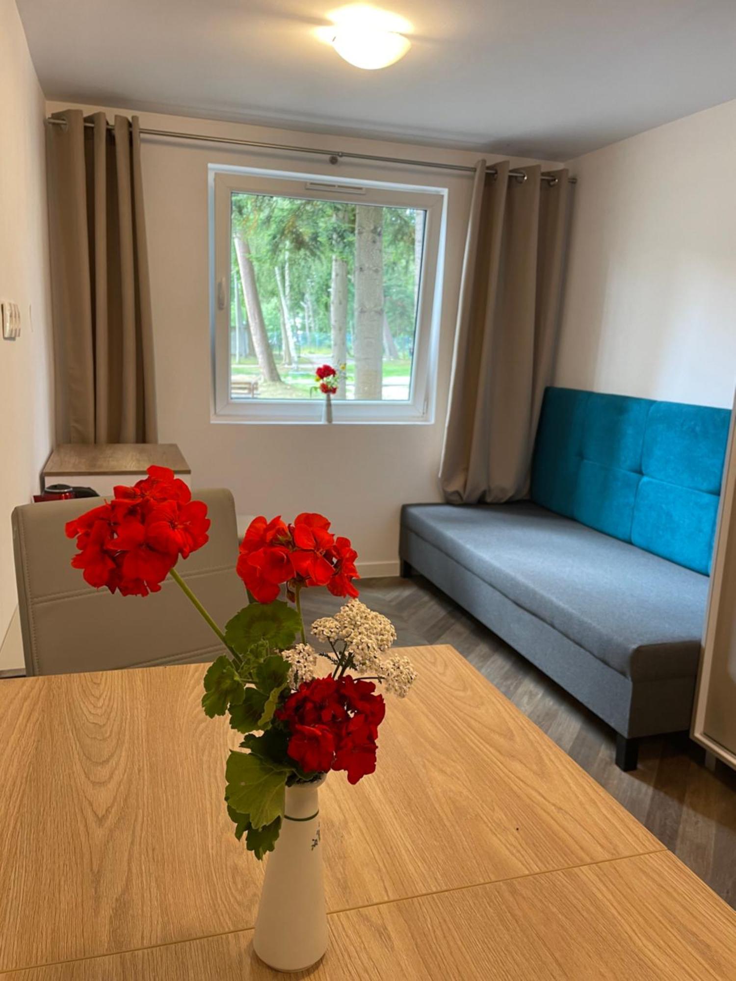Hotel Domki Osrodek Wypoczynkowy Neptun à Ujście-Darłowskie Extérieur photo
